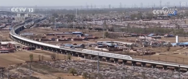 以花为媒、以节兴旅 解锁多样春日限定浪漫