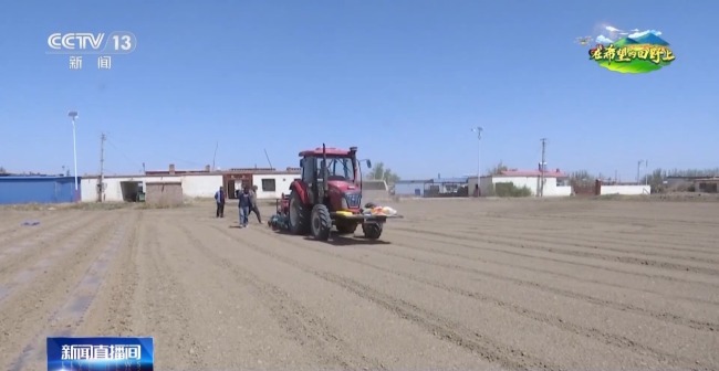 机器播种 “智慧春耕”正在进行中
