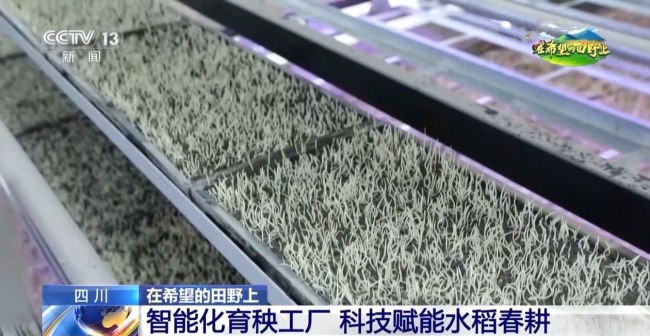 机器播种 “智慧春耕”正在进行中