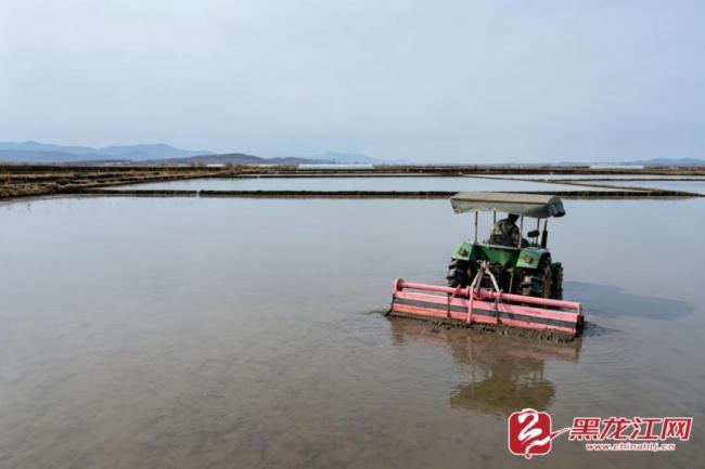 看全国产粮第一县“泡田打浆”