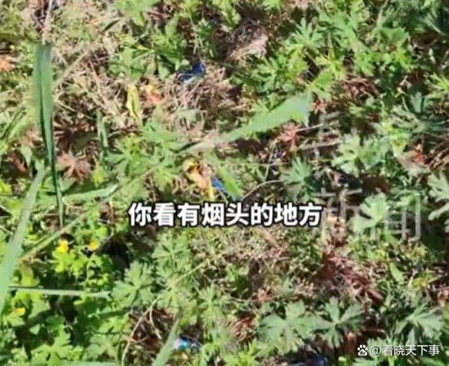 男子发现扔烟头处不长草决定戒烟 直观警示促成改变