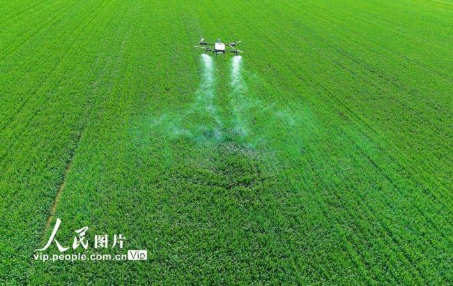 河南南阳：谷雨春耕图