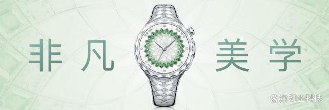 华为星钻手镯表29999元