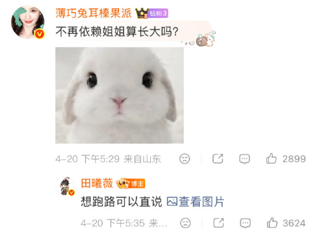 田曦薇 想跑路可以直说