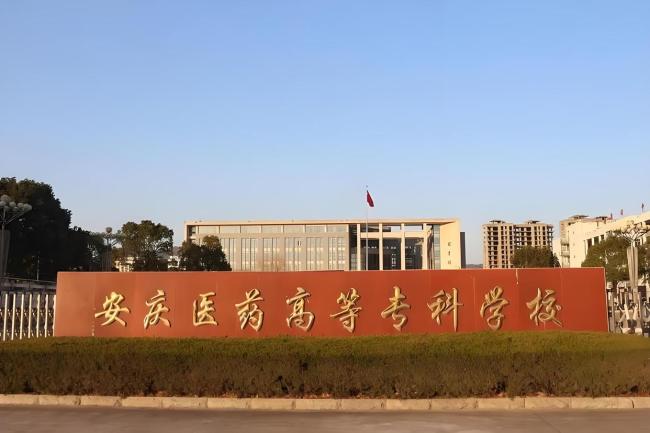 女子3次搬家仍被前男友找到殴打 悲剧背后的教训