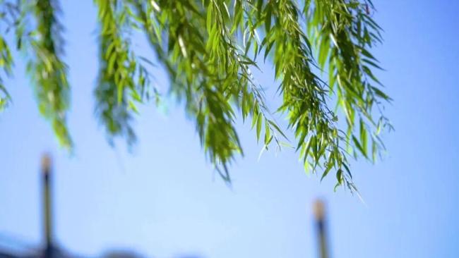 提醒！北京明后天局地有分散性雷雨