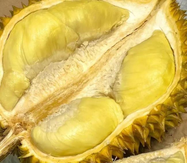 榴莲为什么要进化成又臭又难剥的样子？