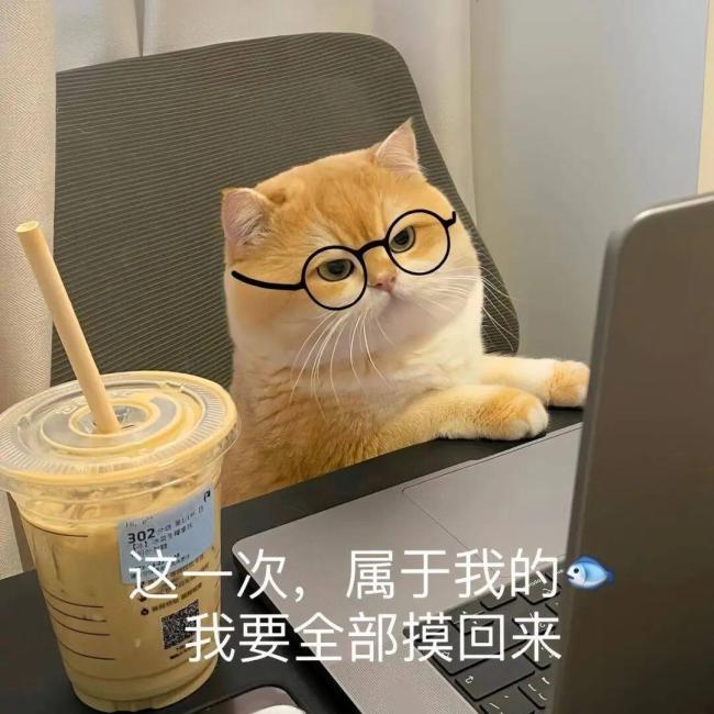 孙俪和小花妹妹与鲨鱼共游