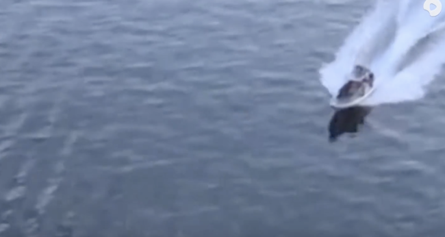 伊朗拦截货轮视频发布！