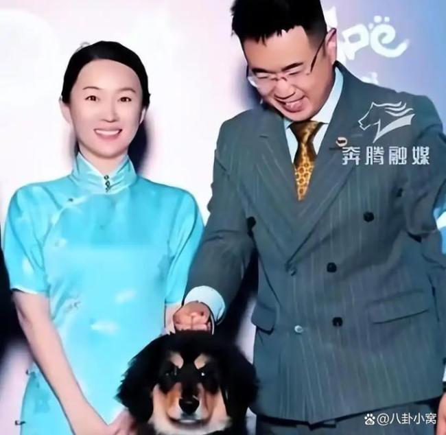 杜江回应霍思燕的蒙古獒又夺冠了 中国犬种新突破