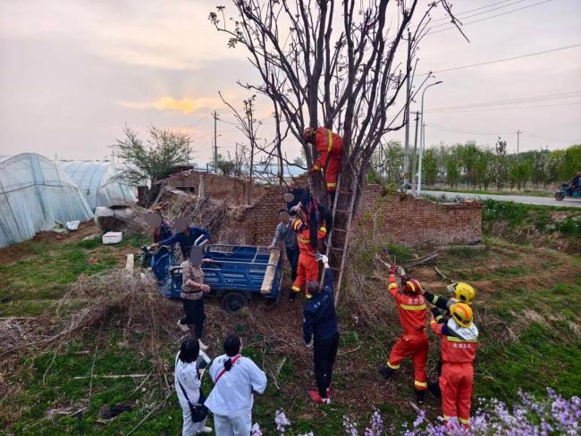 北京男子爬树摘香椿被卡 悬空倒挂7小时 消防紧急救援