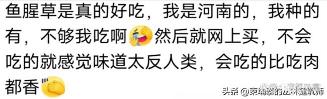 老祖宗不愿带回来的食物一定难吃 评论区真相了