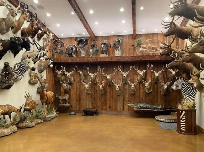 美国富豪被大象踩死 猎手反成猎物