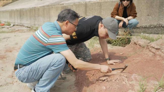 广西邕江畔发现恐龙化石