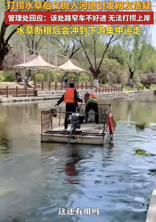 官方回应打捞完的水草被抛回河里 担忧船翻采取措施