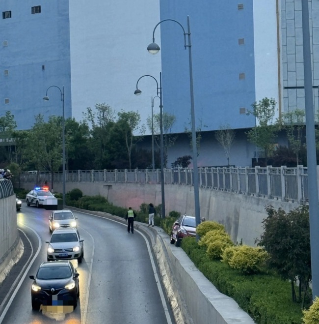 女子将车“停”进高处花坛引围观