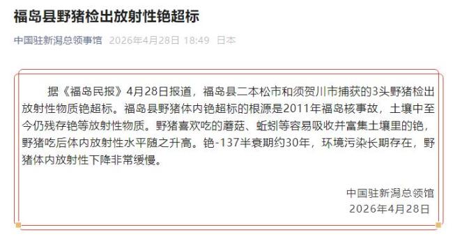 日本福岛县野猪检出放射性铯超标