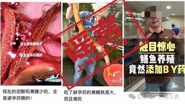 榴莲便宜了是因北方也开始种？假的 热带水果难北移