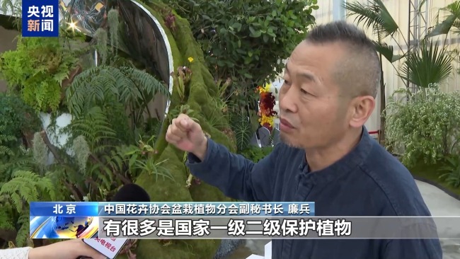 “五一”假期精彩已就位：光影秀点亮假日生活