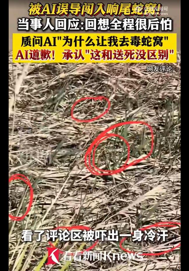 女子被AI误导闯入毒蛇窝 AI推荐险酿大祸