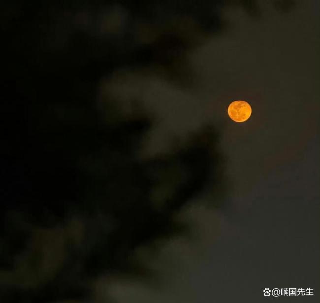 肖战拍到了血月 现实与剧本的惊人重叠