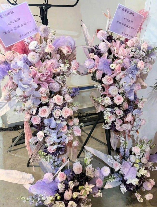众明星给谢娜演唱会送花篮 圈内人缘见证真诚友谊
