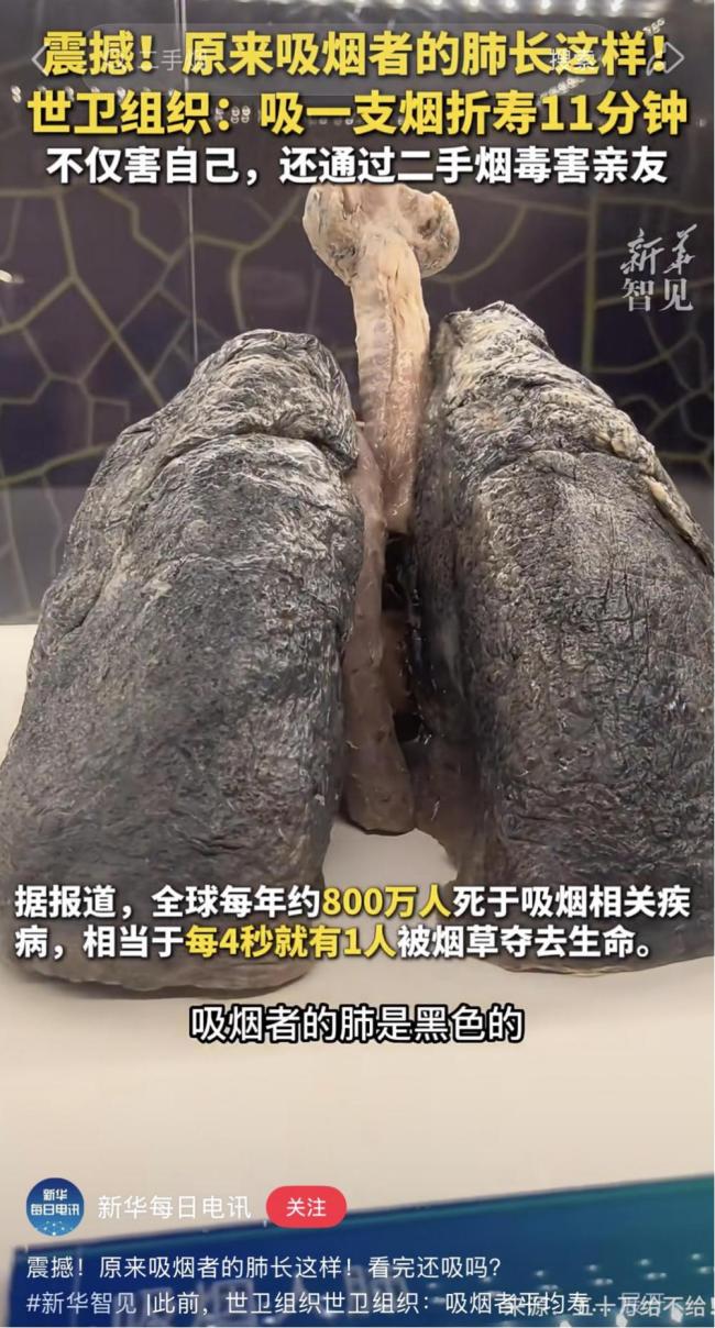 哪座城市的烟味最淡 呼吸自由的较量