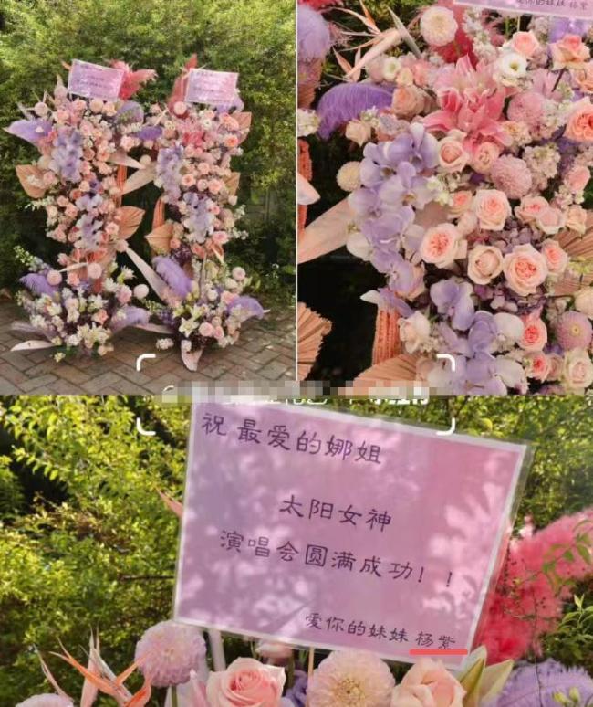谢娜首场演唱会半个内娱都来“捧场” 花篮堆成山