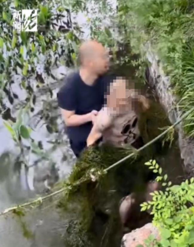 老人失足落水水草缠身 大叔折竹救人 好心大叔获赞