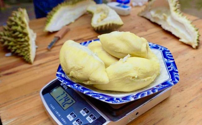 “榴莲自由”更近了吗 物流提速助力价格亲民
