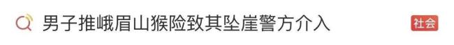 男子猛推峨眉山猴子知情人发声