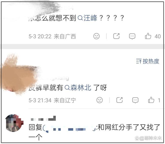 曝汪峰森林北分手 女方清空动态引猜测