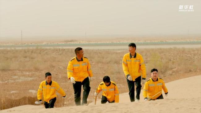 世界首条环沙漠铁路旁 他们用绿守护铁道