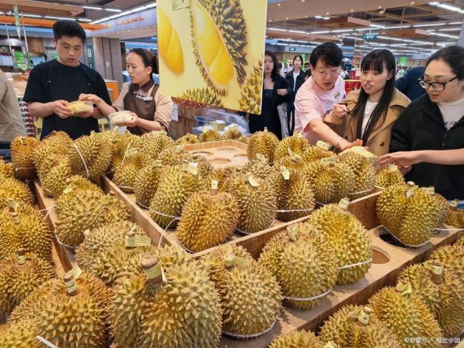 榴莲价格未来还会跌吗