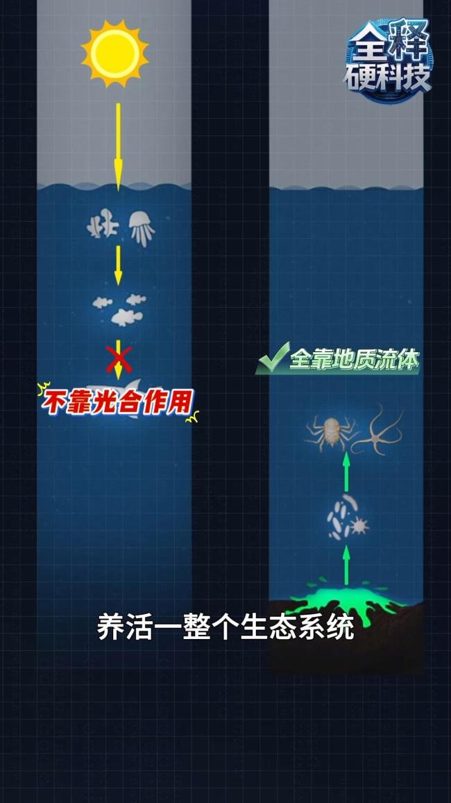 中国潜水器发现“黑暗生命绿洲” 刷新深海认知