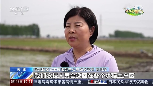 鹽堿地治理、農(nóng)文旅融合 全國(guó)春灌拿出“妙招”
