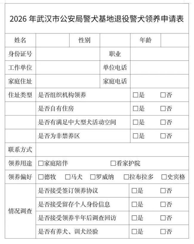 武汉40只退役警犬寻找领养家庭 无言战友期待新家