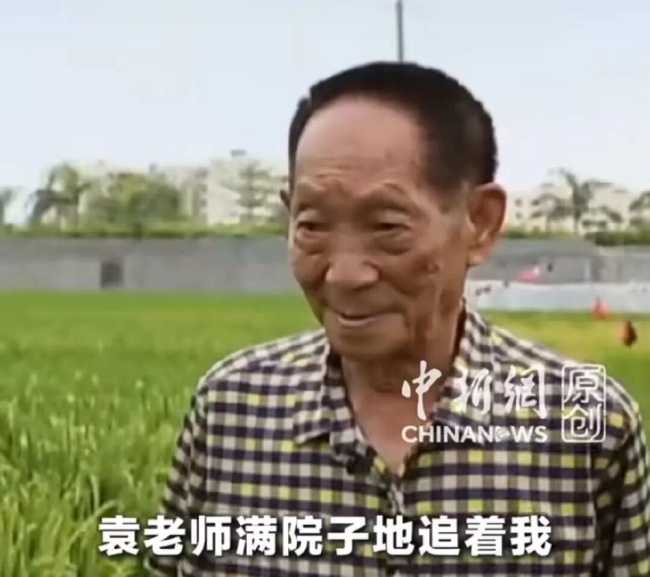 让袁隆平挠头的博士带来好消息 沙漠盐碱地丰收有望