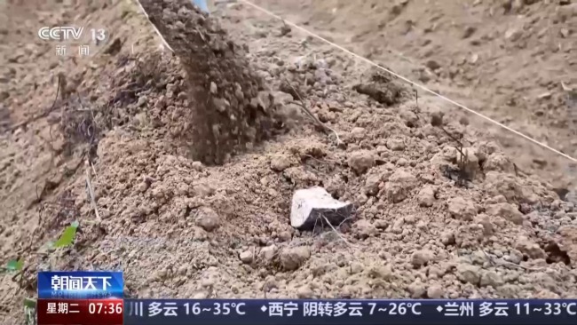 闲田变良田 让沙县小吃留住本土味道