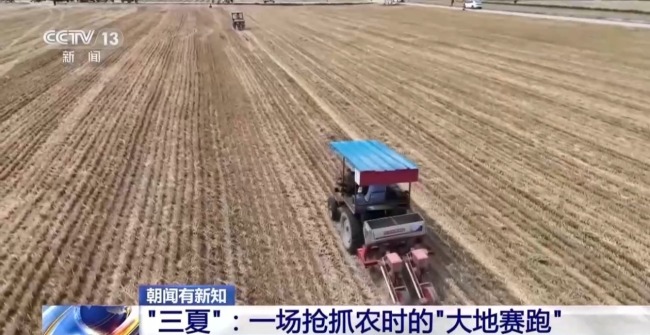 西南麥區(qū)迎來(lái)大面積收獲 “三夏”大忙拉開(kāi)帷幕