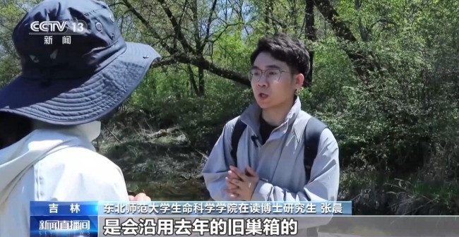 中華秋沙鴨見證長白山的“生態(tài)之變”