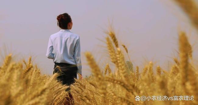 老东谈主说“小满起火，干断田坎”，何意？ 农谚背后的深意