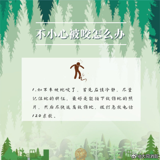 蛇类活跃期遇到蛇该怎么办？户外防蛇安全提示
