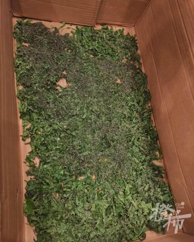 养1.2万只蚕为娃做蚕丝被 亲子手工乐趣多