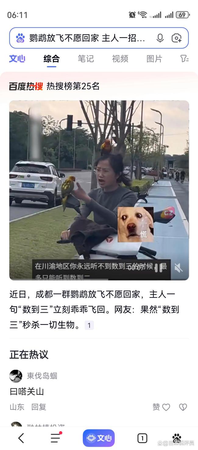 主人把自家鹦鹉打扮成“鹦美人”