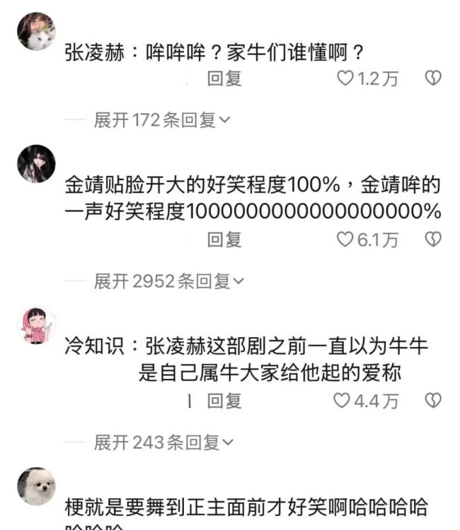 金靖回复张凌赫谢谢我的站哥 友谊的小船稳如初