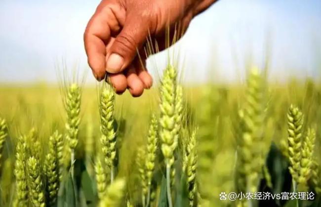 早小满雨不休，晚小满旱断河：小满节气气候预兆