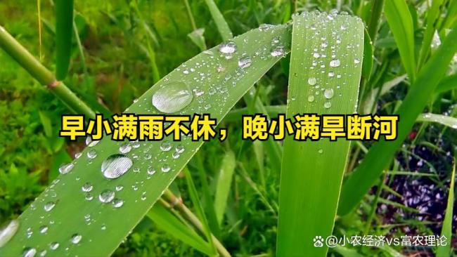 早小满雨不休，晚小满旱断河：小满节气气候预兆