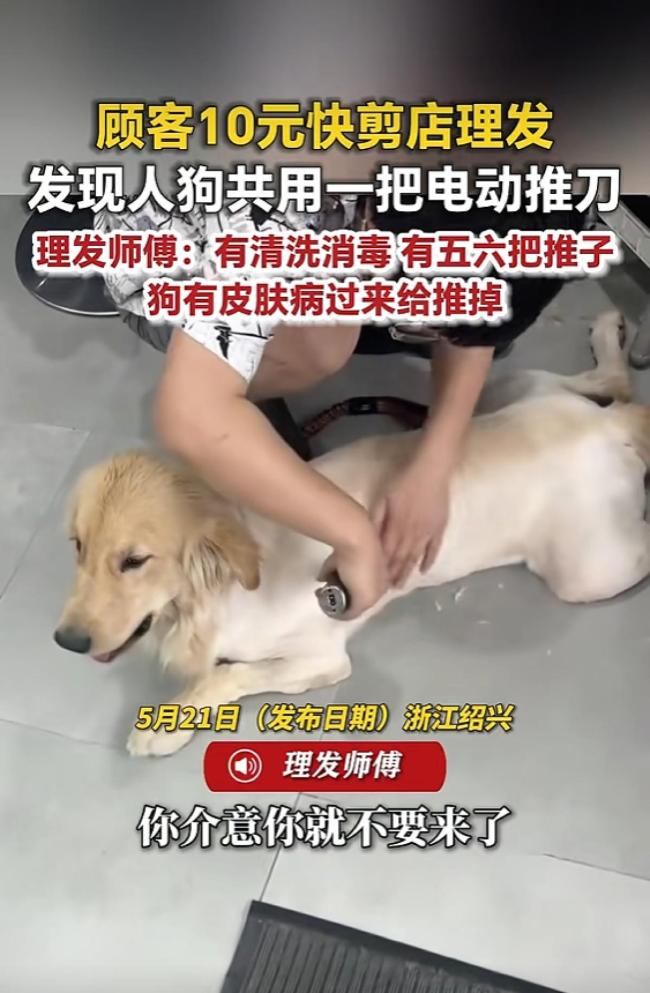 曝10元快剪理发店人犬共用推刀