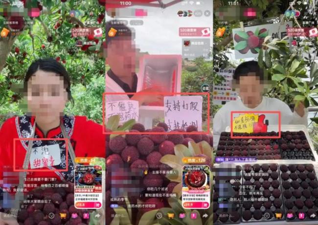 漳州泡藥楊梅事件5人被刑拘 商戶明知有毒仍銷售